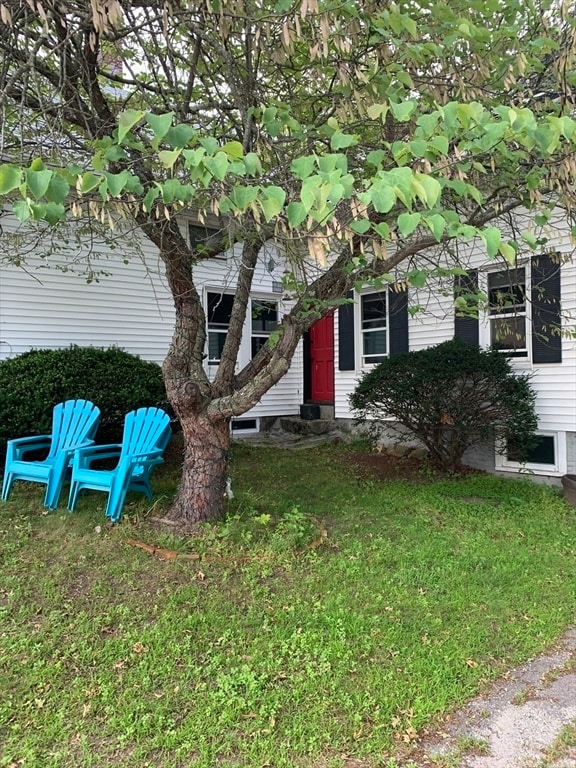 Photo - 41 Hayden Rowe St Unit 2
