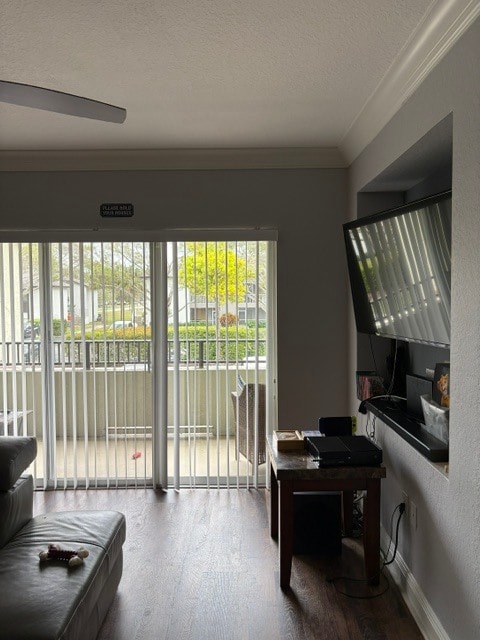 Photo - 404 Belmont Pl