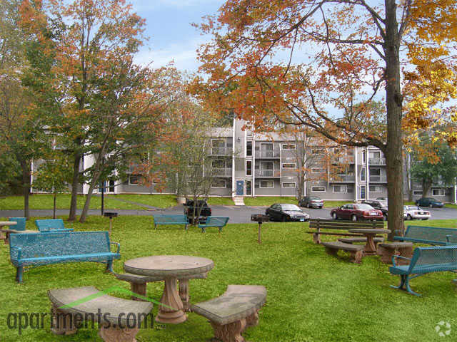 Picnic Area