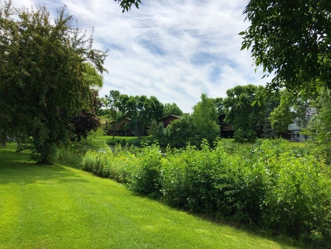 backyard - 5411 72nd circle n