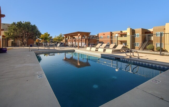 Photo - Desert Willow