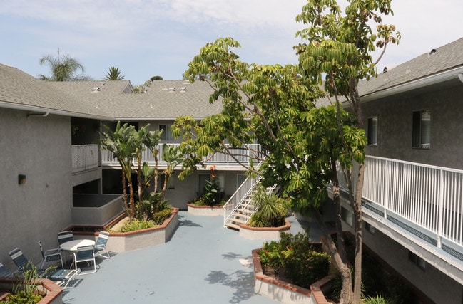 Bush Terrace