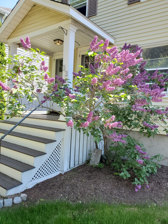 Photo - 33 Flett Rd Unit 1