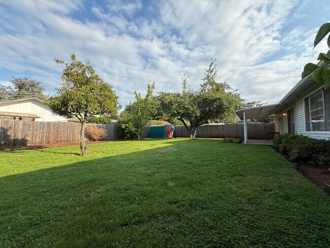 Mature fruit trees. Irrigation system. - 1981 Orr Ln Casa