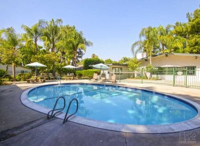 Pool Area - Pine Garden Apartments Unit I2