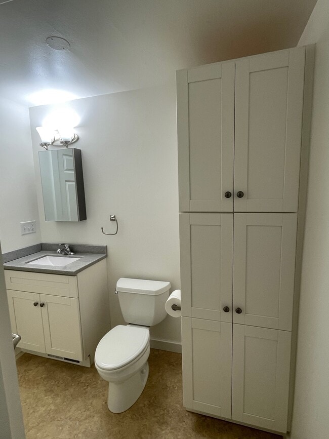 Newly remodeled bathroom with shower - N5385 County Rd V Unit #3