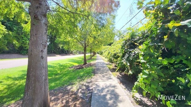Photo - 6504 Oak Canopy Dr