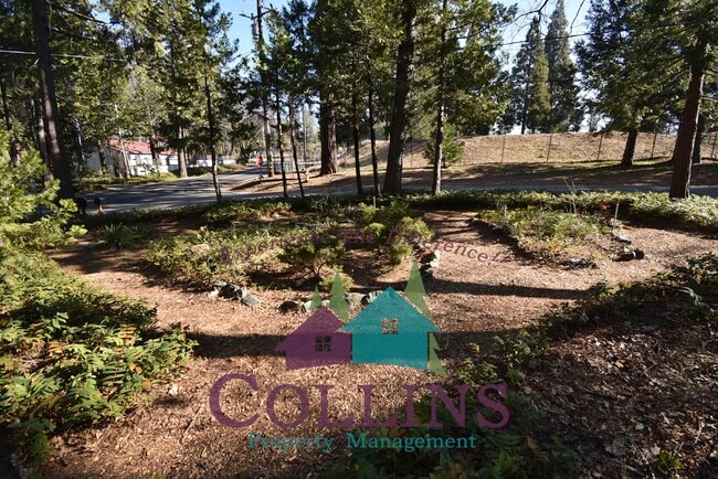 Photo - 10729 Banner Lava Cap Rd