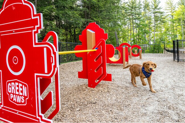 Dog Park
