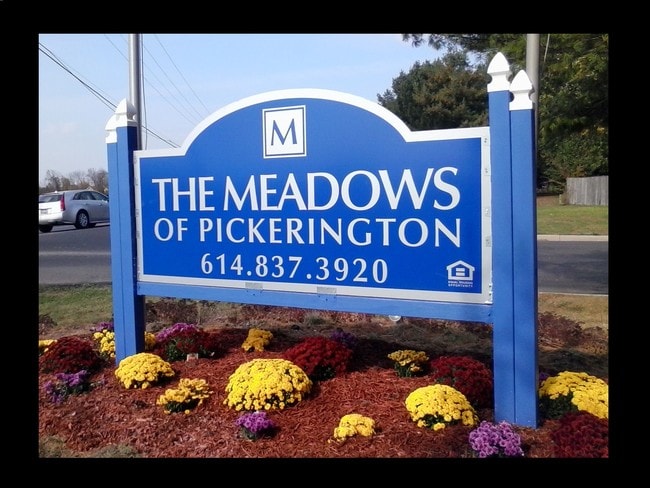 The Meadows - The Meadows Apartments