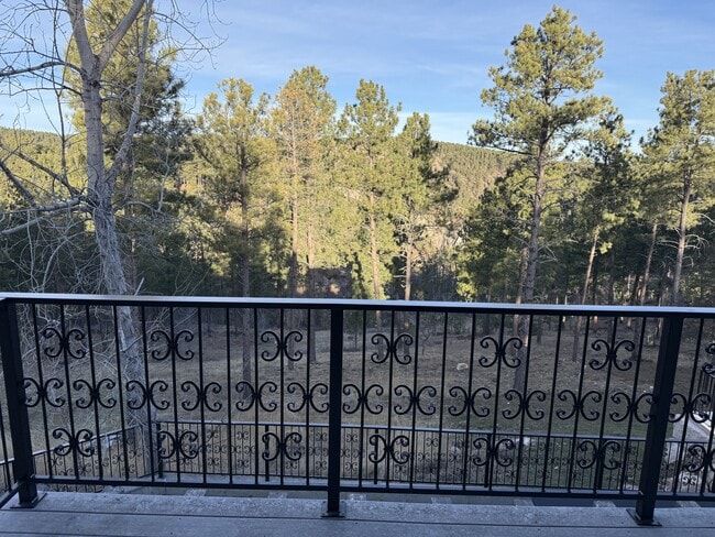 Photo - 13646 Twisted Pnes Trl