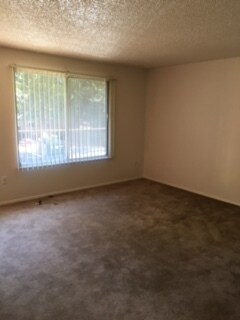 Photo - Courtney Square