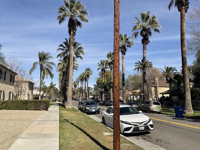 Building Photo - Bahama Palms, recientemente renovado: $1,850, 650 pies cuadrados — ¡Encantador refugio de 1 dormi...