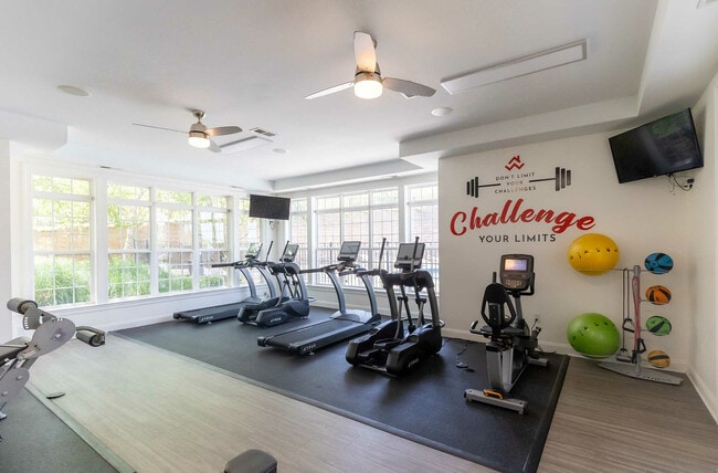 El parque de Salisbury - 5 - Park at Salisbury