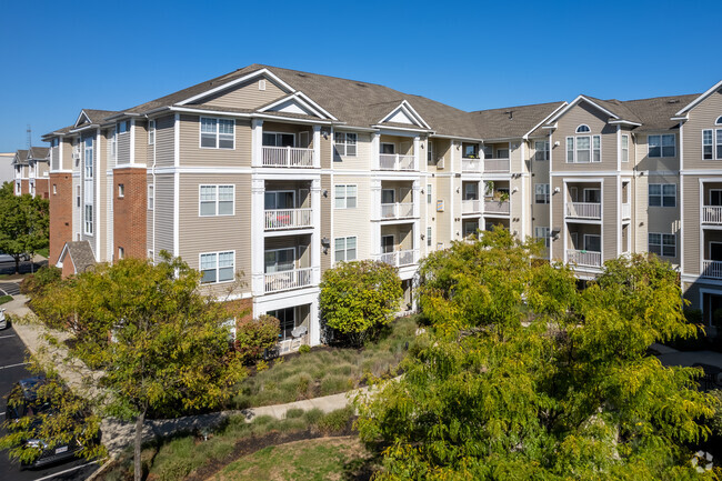 The Avens at Dedham Station Apartments - Dedham, MA | ForRent.com