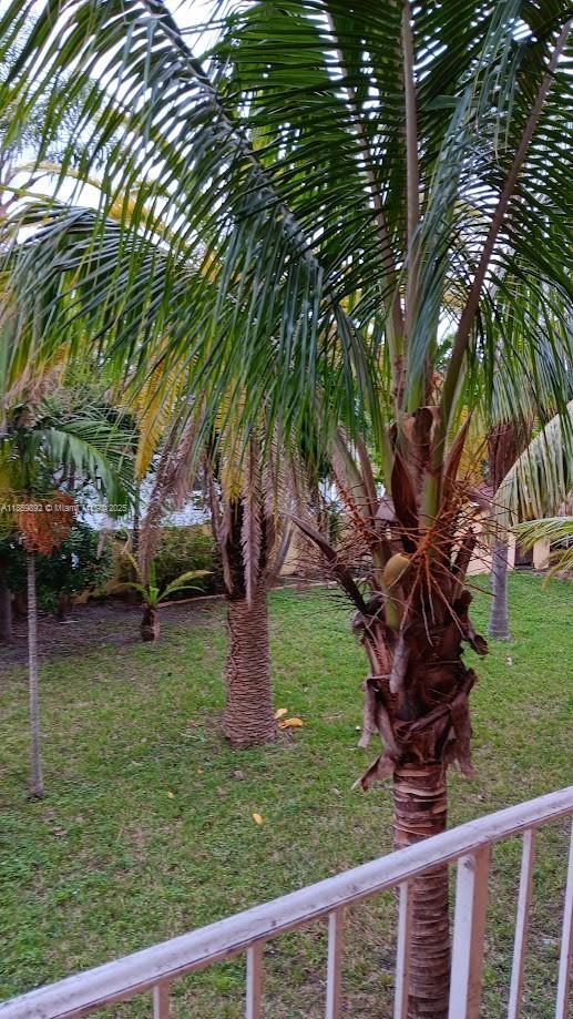 Photo - 1826 Cleveland St Apartment Unit 6