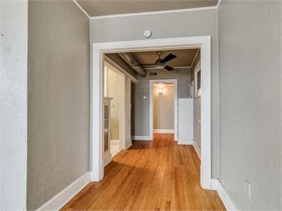 Photo - The Florence