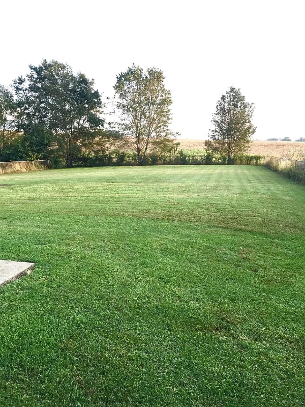 Photo - 209 Bumpus Mill Rd