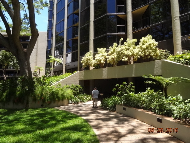HONOLULU TOWER 1/1/1, MOUNTAIN VIEWS - HONOLULU TOWER 1/1/1, MOUNTAIN VIEWS House