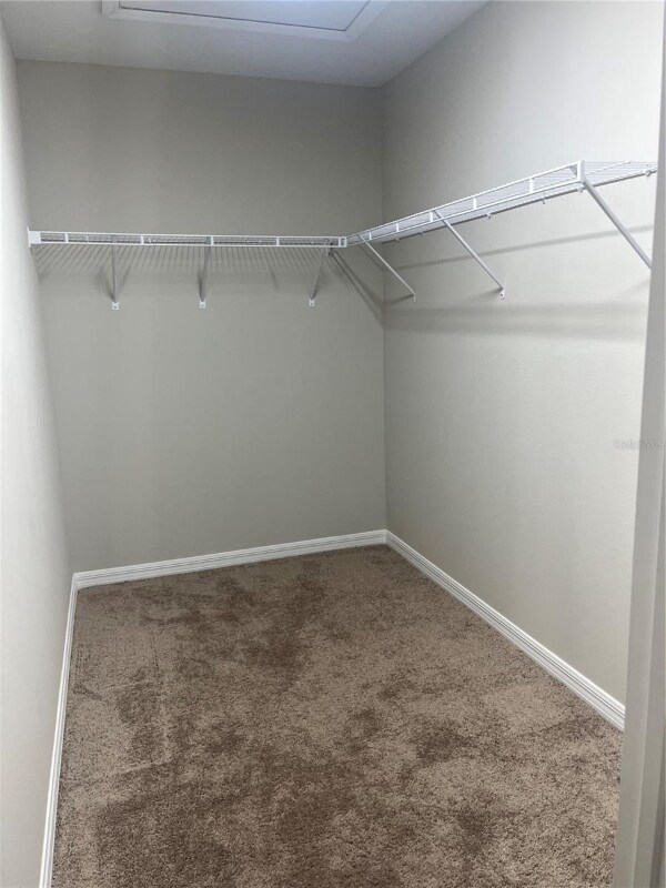 Photo - 34209 Scarlet Sage Ct