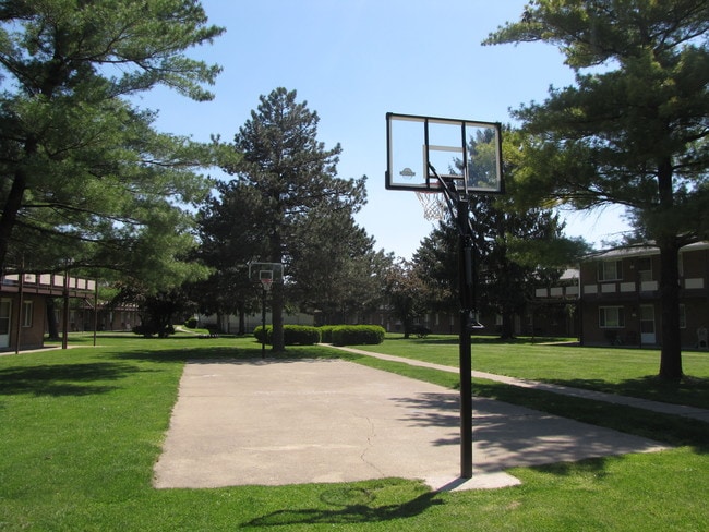 Basketball court