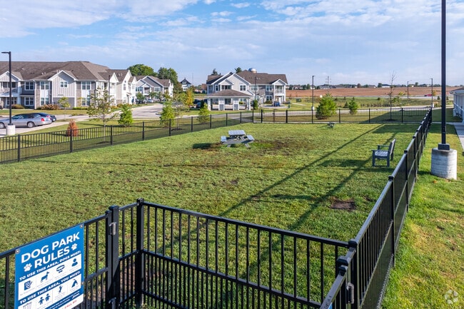 Dog Park