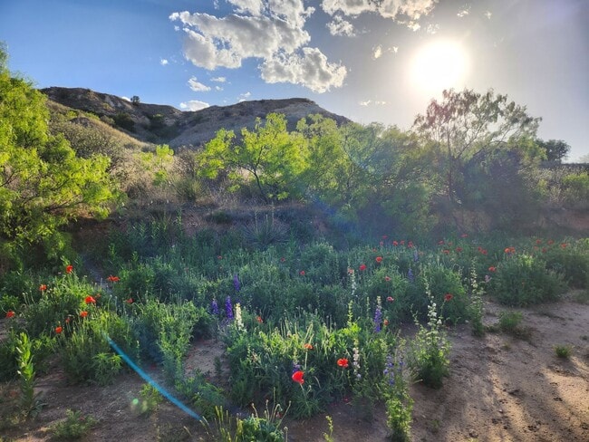 Photo - Beautiful Yellow House Canyon