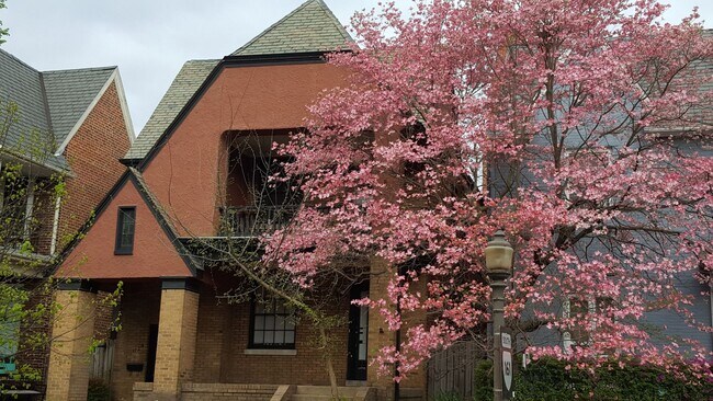 Building Photo - 112 S Arthur Ashe Blvd Unit A