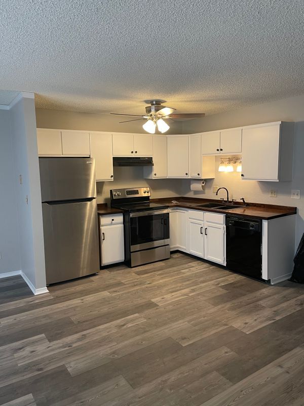 Building Photo - 2320 Villa Rosa Dr