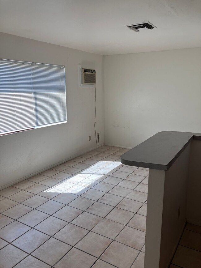 838 E Adams St Unit 3