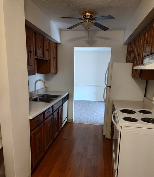 Photo - Carriage Arms