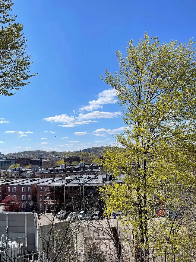 Photo - 16 Copenger St