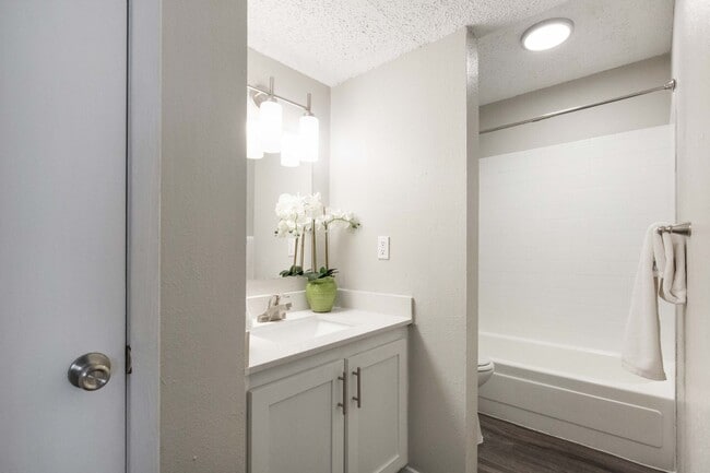 Photo - Ascent At Northgate