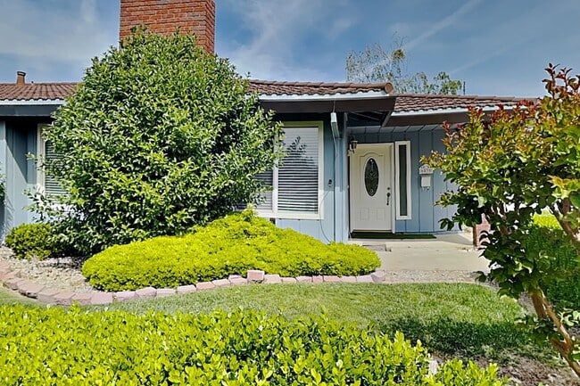 Photo - Halfplex with yard in South Land Park