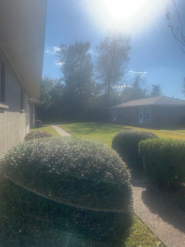 Building Photo - 204 Boxtel St Unit A