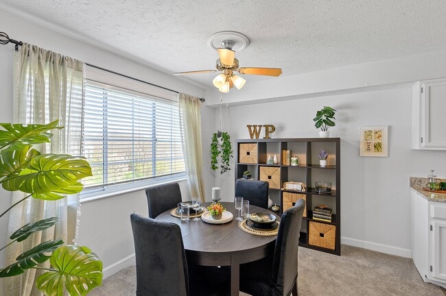 Photo - Wrights Point