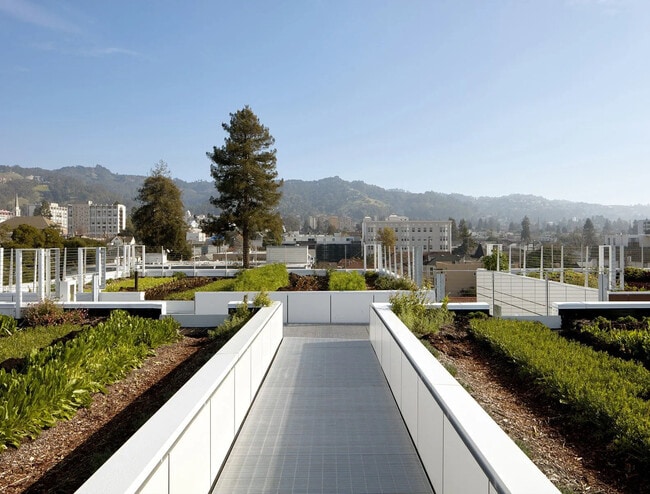 Rooftop - FOUND Study Southside Berkeley