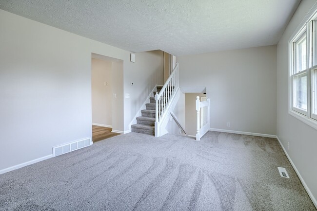 Photo - Adorable Multilevel is looking for you!