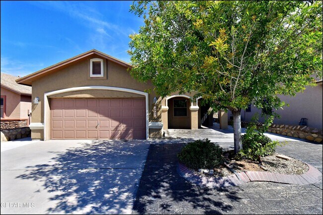 Photo - 12569 Wolf Berry Dr