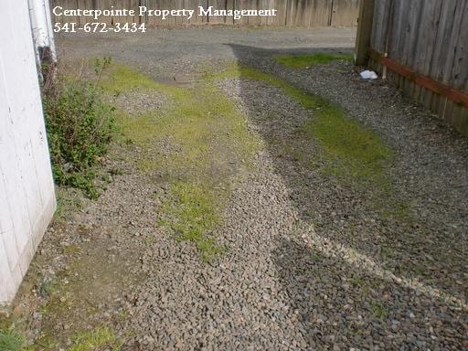 Photo - 723.5 W Ballf St Unit SFR