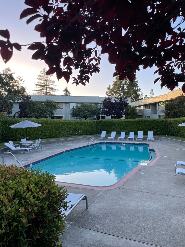 Pool with locked access - 2335 Sharon Rd Condo Unit 1 st Floor with Patio