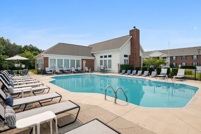 Refreshing Swimming Pool