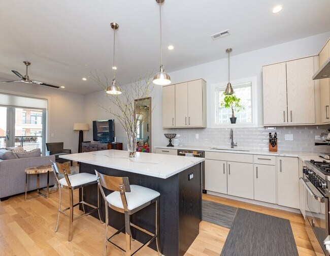 3049 N Clybourn Ave Unit 1