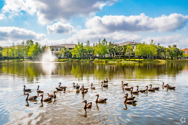 The Hamptons at Palm Beach Gardens - The Hamptons at Palm Beach Gardens Apartamentos