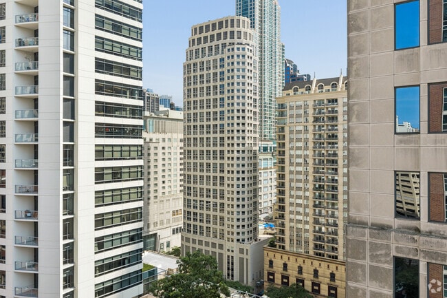 Primary View