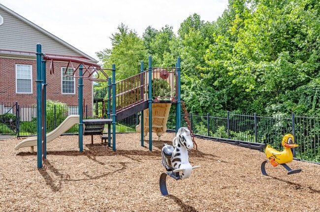 Aquia Terrace