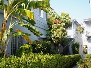 Photo - 442 N Spaulding Ave Unidad 442