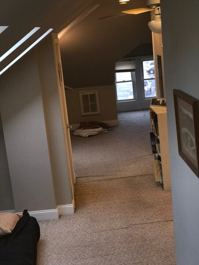 open area - 24 Myrtle St Unidad c