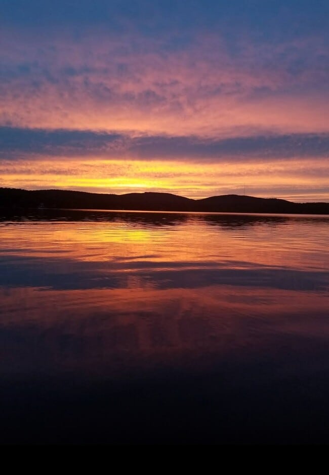 Building Photo - 55 Merlin Rd