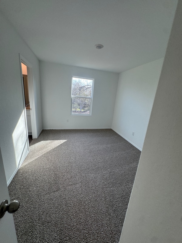 Photo - 2058 Zephyr Lily